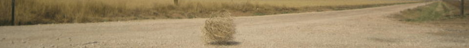 Tumbleweed blowing along a dusty road